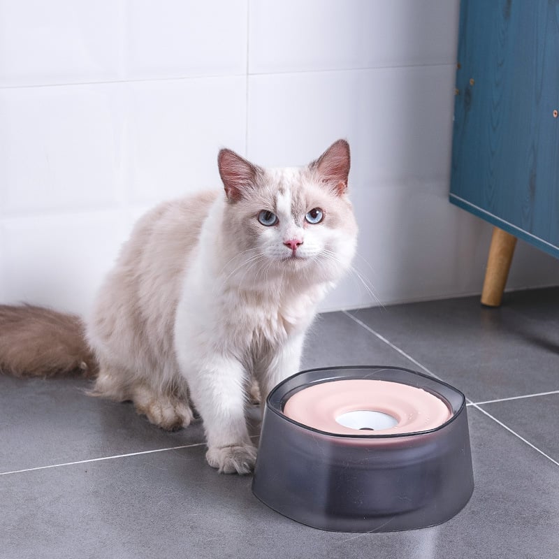 Pet Drinking Bowl for Dogs and Cats