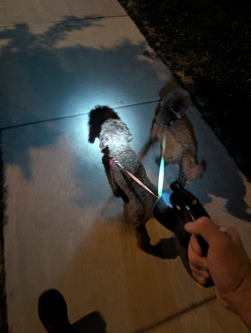 Auto Double Dog Leash