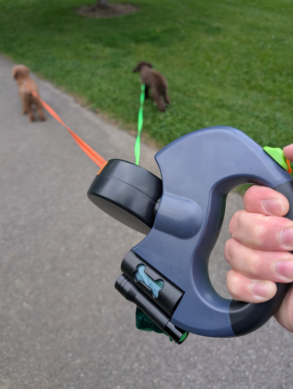 Auto Double Dog Leash