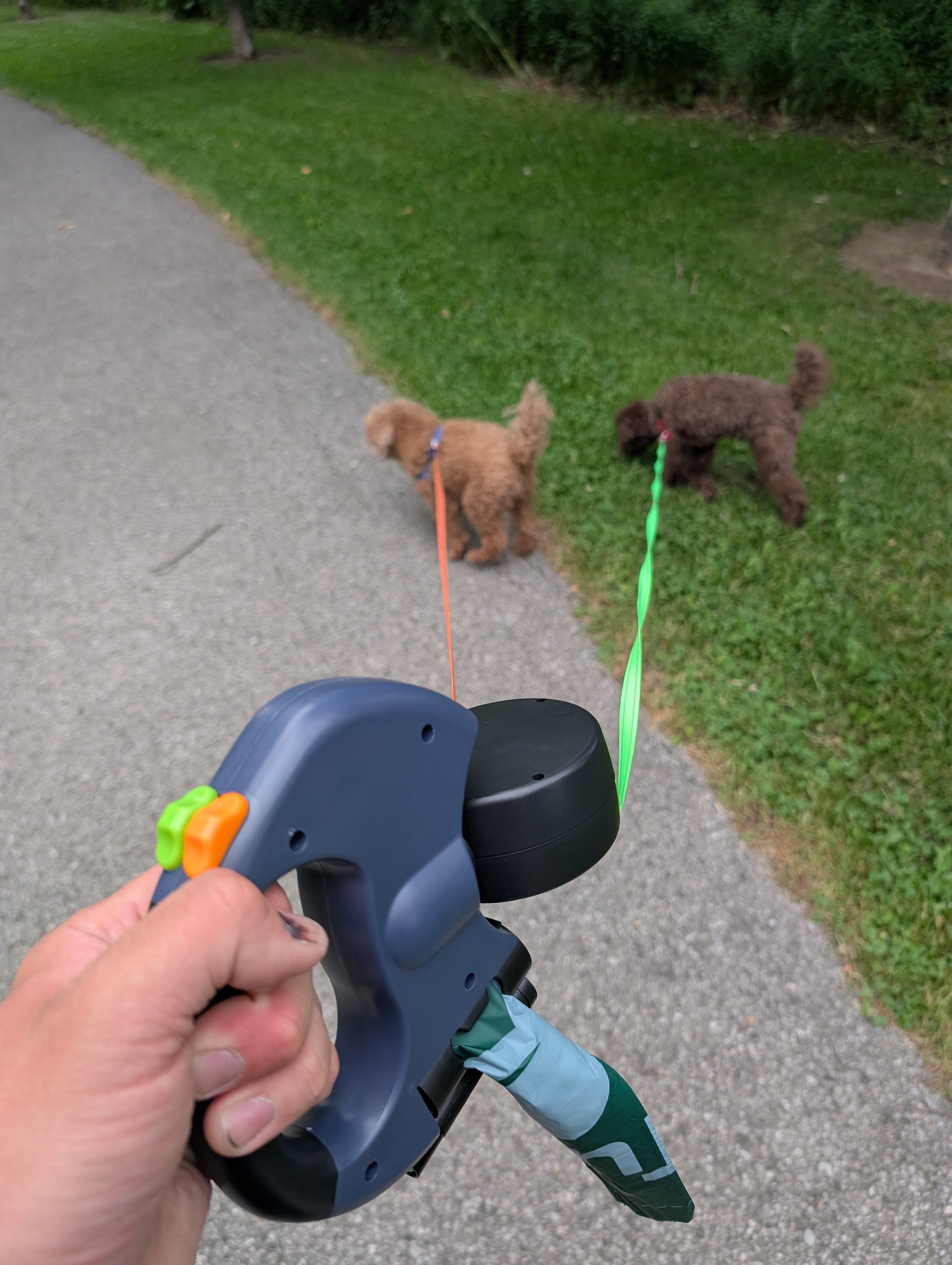 Auto Double Dog Leash