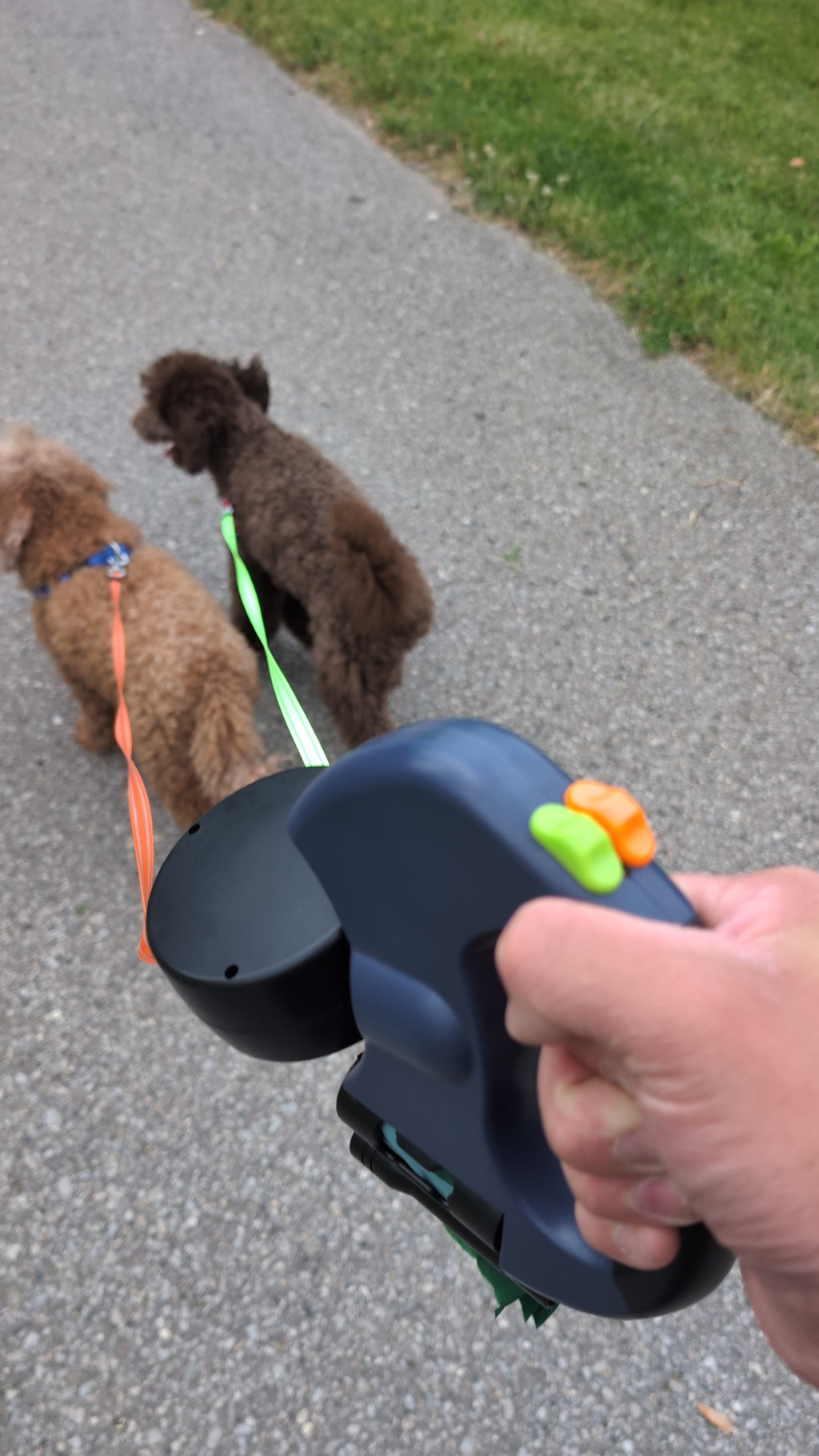 Auto Double Dog Leash